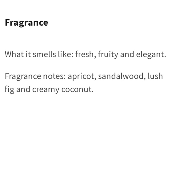 πBOGO 50%π‘πNWTβΌοΈBBW Chunky Gem Leaves Plug-in Nightlight w/ Fragrance Refills - Picture 12 of 15